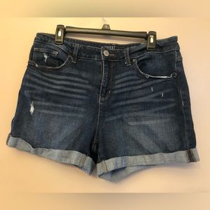 Time & Tru size 14 mid-rise distressed shorts
